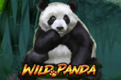wildpanda